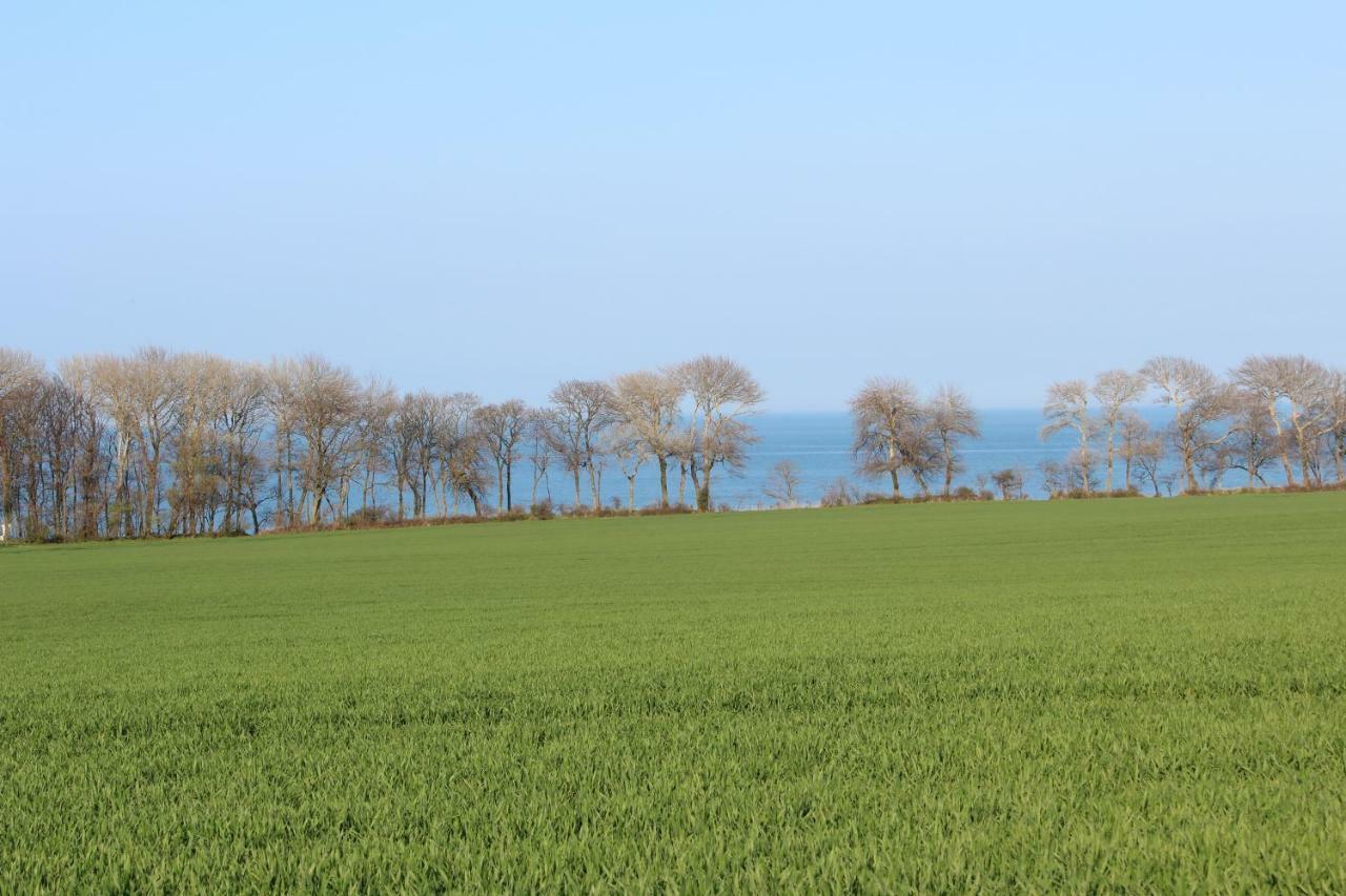 Ferienwohnungen Am Museumshof Fehmarn Exteriér fotografie